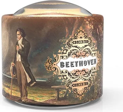Obrázek produktu pro Belle Lurette vzdělávací hudební hračka Brillybeeth2 Ode to Joy