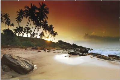 Produktbild von Wallario Wandbild Sri Lanka - Palmenstrand mit Sonnenuntergang, Größe: 61 x 91,5 cm, Poster mit rahmenlosen Bildhalter