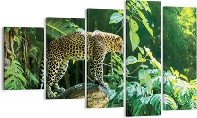 Produktbild von Bild auf Leinwand - Leinwandbild - 5 Teile - Dschungel Leopard Panther - 100x60cm - Wand Bild - Wanddeko - Wandbilder - Leinwanddruck - Bilder - Wanddekoration - Leinwand bilder - EG100x60-4502