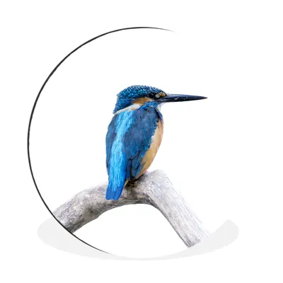 Produktbild von MuchoWow® Aluminium Wandkreis Eisvogel - Zweig - Schnabel Ø 30 cm Wanddeko Modern Wohnzimmer - Wand Bild - Wohnzimmer - Runde Bilder - Alubilder - Kunst für zu Hause - Aluminium - Wanddekoration