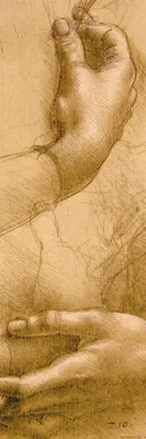 Produktbild von Leonardo Da Vinci Kunstdruck Bild - Handstudie, Circa 1478 (91 x 30 cm)