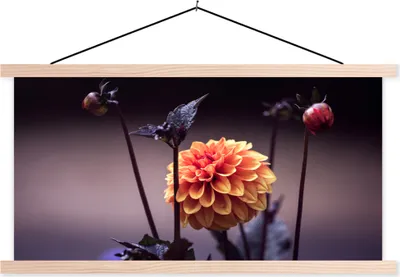Produktbild von MuchoWow® Textilposter Blumen - Chrysantheme - Makro - Pflanzen 120x60 cm mit holzfarbenen Rahmen - Klemmleiste