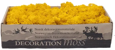 Produktbild von Karton Islandmoos Gelb 500g