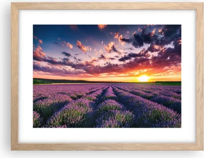 Produktbild von Gerahmtes Poster - Rahmen in heller Eiche - Lavendel Berge Feld - 40x30 cm - Wand Bild - Wanddeko - Wandbilder - Wandposter - Bilderrahmen - Bilder - Kunstdruck - Wandbild - P2NAA40x30-3816