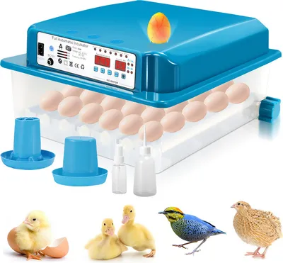 Immagine prodotto di TolleTour Incubatrice Set completo Incubatrice Uova LED Incubatrice a motore per 36 uova di gallina