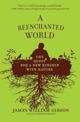 Produktbild von A Reenchanted World
