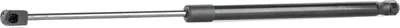 Produktbild von RIDEX 219G0943 Gasfeder Heckklappendämpfer für KIA RIO III (UB) 487,5mm