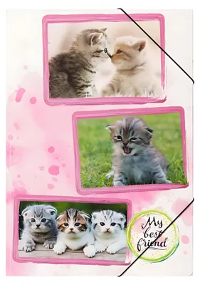 Produktbild von Pagna Gummizugmappe A3 PP Katzenbabys 3 Einschlagklappen
