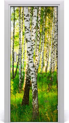 Imagen del producto de Adhesivo decorativo para pared, 85x205 cm. Adhesivo autoadhesivo, impermeable, papel tapiz removible. Ideal para dormitorios, salones y decoración del hogar. Marca: Birkenwald