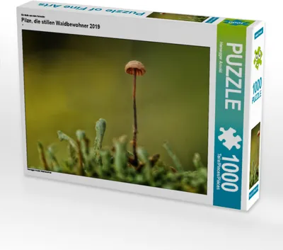 Produktbild von CALVENDO Puzzle Ein Motiv aus dem Kalender Pilze, die stillen Waldbewohner 2019 | 1000 Teile Lege-Größe 64x48cm Foto-Puzzle für glückliche Stunden