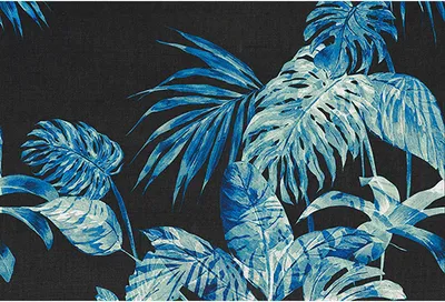 Produktbild von Tadessi Fototapete | Palmen | 4.00 m x 2.70 m | Blau | Schwarz | Wandbild | Digitaldruck