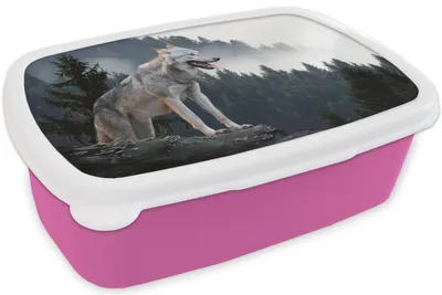 Produktbild von KitchenYeah® Lunchbox Brotzeit Brotdose 17x11 cm Wolf - Tier - Wald Kinder Brotzeitdose - Lunchpaket - Brotkasten  - Sandwich Box