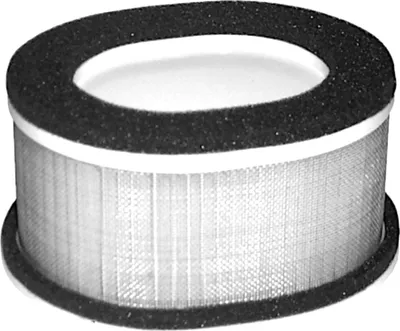Zdjęcie produktu dla Filtr powietrza do YAMAHA FZS 1000 S Fazer 01-05 #5LV-14451-00