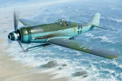 Image de Hobby Boss Focke-Wulf FW190D-12 R14 1:48 81720