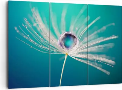 Produktbild von Bild auf Leinwand - Leinwandbild - Pflanze Natur - 165x110cm - Wand Bild - Wanddeko - Wandbilder - Leinwanddruck - Bilder - Kunstdruck - Wanddekoration - Leinwand bilder - Wandkunst - CE165x110-3991