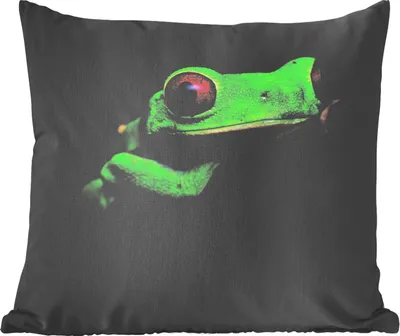 Produktbild von MuchoWow® Zierkissen Sofakissen Wohnzimmer Dekokissen 50x50 cm Rotäugiger Quecksilberfrosch auf schwarzem Hintergrund - Komfort - Sofakissen