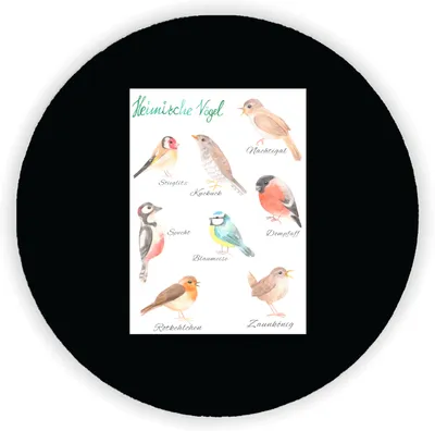 Produktbild von Mr. & Mrs. Panda magnet Heimische Vögel - Geschenk, Dekoration, Kühlschrank, für, Notizhalter, magnettafel, Kühlschrankmagnet