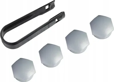 Immagine prodotto di Tappi ruota VOLVO argento 4 pezzi OE 31664349