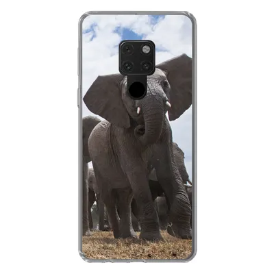Produktbild von MuchoWow® Handyhülle Schutzhülle Hülle für Huawei P40 Lite Elefant - Tiere - Natur - Flachland Silikon Softcase Handy Hülle - Handy