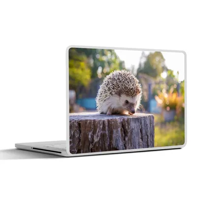 Produktbild von MuchoWow® Laptop Aufkleber Sticker Cover Igel auf einem Baumstamm 31x22.5 cm - Laptop-Deko
