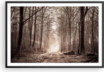 Produktbild von Gerahmtes Poster - Schwarzer Rahmen - Wald Straße Baum - 91,5x61 cm - Wand Bild - Wanddeko - Wandbilder - Kunstposter - Wandposter - Bilderrahmen - Bilder - Kunstdruck - Wandbild - P2BAA91x61-3620