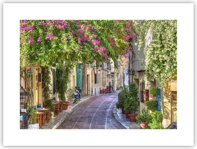 Produktbild von Poster - Poster ohne Rahmen - Straße dekoration blumen griechenland - 40x30 cm - Wand Bild - Wanddeko - Wandbilder - Kunstposter - Wandposter - Bilder - Kunstdruck - Wandbild - P2XAA40x30-2429