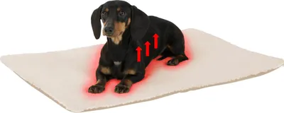 Zdjęcie produktu dla Materac dla psa Theo, 75 x 50 cm, Kerbl