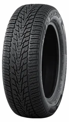 Immagine prodotto di Nankang Winter Activa 4 225/45 R17 94 V XL