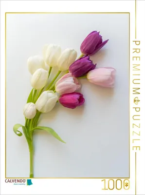 Produktbild von CALVENDO Puzzle Tulpenzauber | 1000 Teile Lege-Größe 64x48cm Foto-Puzzle für glückliche Stunden