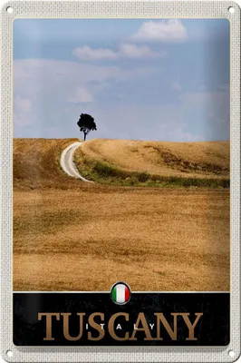 Produktbild von Blechschild Reise 20x30cm Toskana Italien Feld Wiese Natur Schild