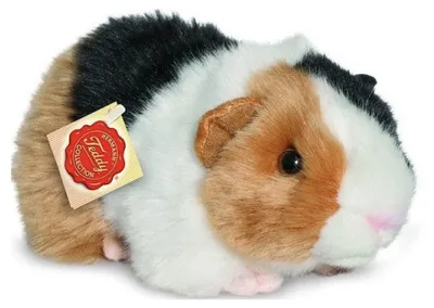 Productafbeelding van Cavia, driekleurig, ongeveer 20 cm, 1 stuk