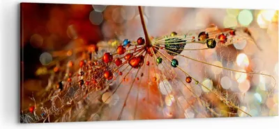Produktbild von Bild auf Leinwand - Leinwandbild - Spinnennetz modern - 120x50cm - Wand Bild - Wanddeko - Leinwanddruck - Bilder - Kunstdruck - Wanddekoration - Leinwand bilder - Wandkunst - AB120x50-3774