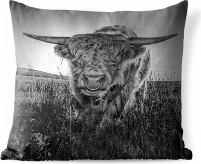 Produktbild von MuchoWow® Outdoor Kissen - Schottisches Hochlandrind - Schwarz und Weiß - Kuhkopf - 40x40 cm - Wetterfest - Lounge Kissen - Kopfkissen - Interieur - Polster mit Bild