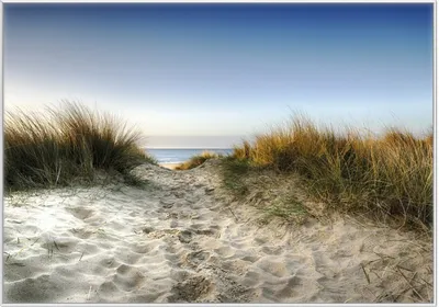 Produktbild von Wallario Wandbild Weg durch die Dünen zum Strand am Meer, Größe: 70,30 x 100,30 cm, Poster mit weißem Kunststoffrahmen