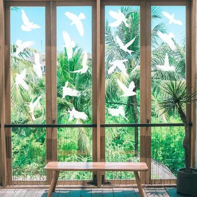 Produktbild von Weiße Vogelschutzfolie 8-25CM für Fenster