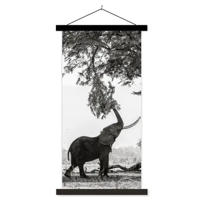 Produktbild von MuchoWow® Textilposter Elefant - Baum - Tiere - Schwarz und weiß 60x120 cm mit schwarzem Rahmen - Magnete