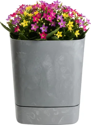 Produktbild von HowHomely | Blumentopf mit Untersetzer - Pflanzgefäß - Betonstruktur- 19 x 19 cm - aus Recyclingmaterial - Praktisch - Pflanztopf
