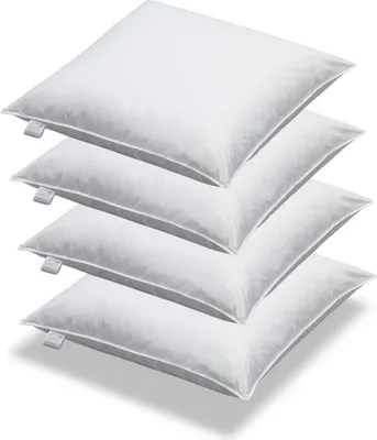 Produktbild von 4 Stück Daunen + Federn Kissen Sofakissen Füllkissen 40 x 40 cm