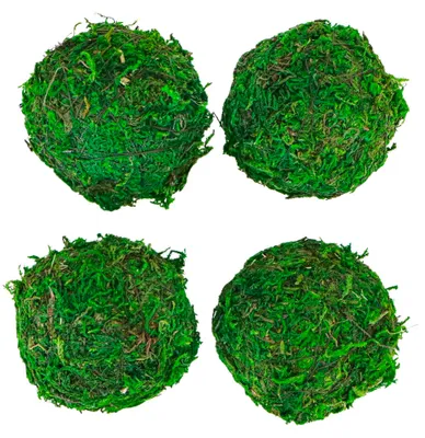 Produktbild von 4 grüne Mooskugeln 6 cm Naturdekoration - Einheitsgröße