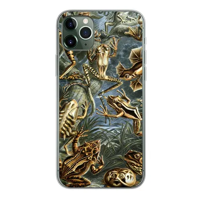 Produktbild von MuchoWow® Handyhülle Schutzhülle Hülle für iPhone 11 Pro Max Batrachia - Haeckel - Alte Meister Silikon Softcase Handy Hülle - Schutz