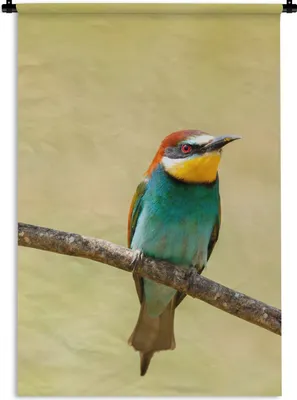 Produktbild von MuchoWow® Wandteppich Wandbehang Vögel - Tiere - Bienenfresser 90x135 cm Tapisserie Dekoration Wandtuch - Baumwolle - Wandskulptur