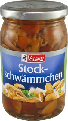 Immagine prodotto di Spugne a bastoncino Valenzi 155g