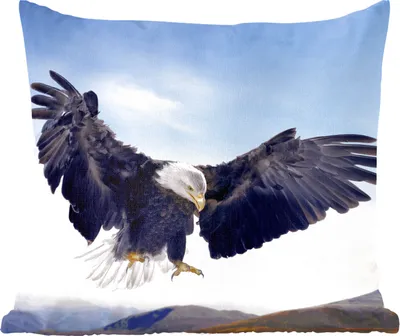 Produktbild von MuchoWow® Zierkissen Sofakissen Wohnzimmer Dekokissen 45x45 cm Ein Weißkopfseeadler will landen - Schlafpolster - Polster für das Sofa