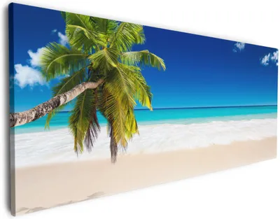 Produktbild von Wallario Premium Leinwandbild Südseestrand in der Karibik mit Palme in Größe 50 x 125 cm