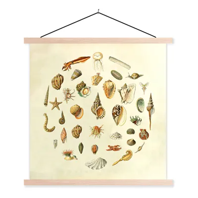 Produktbild von MuchoWow® Textilposter Muscheln - Meerestiere - Vintage 40x40 cm mit holzfarbenen Rahmen - Posterleiste