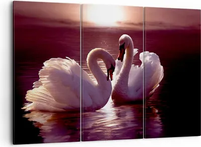 Produktbild von Bild auf Leinwand - Leinwandbild - Schwäne Landschaft Wasser - 105x70cm - Wand Bild - Wanddeko - Leinwanddruck - Bilder - Kunstdruck - Wanddekoration - Leinwand bilder - Wandkunst - CE105x70-0223