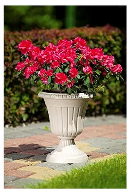 Produktbild von Pflanzkübel Blumenspindel Pflanzschale Milano ∅30cm Terrakotta