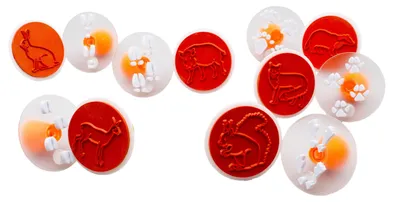 Obrázek produktu pro EDUPLAY 220-034 Razítko do přírody stopy zvířat, pestrobarevné, 12 kusů (1 sada)