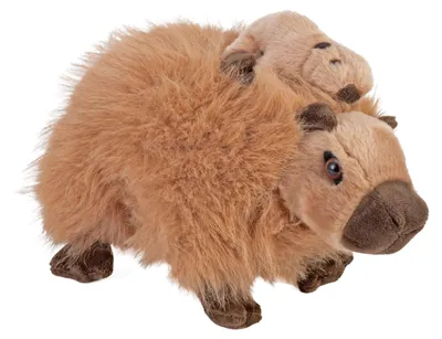 Produktbild von Plüsch-Capybara mit Baby, 23 cm, WR