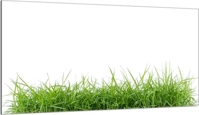 Produktbild von Glasschutzplatte für Herd 90x52 Weiß